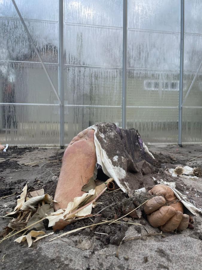 A photograph close to the ground shows a cast of a foot and a hand in a light coffee-coloured fabric. The foot is pointed up with the hand to the right. The hand holds a small bouquet of flowers. Over the casts is a loose piece of fabric with dirt overtop. 